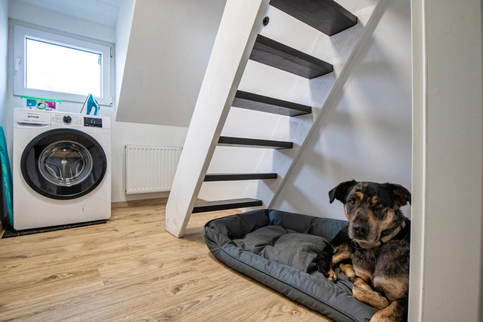 110 Qm Penthousewohnung Bei Bonn / Koeln 로마어 외부 사진